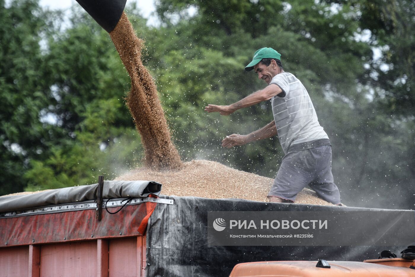 Уборка урожая пшеницы в Крыму