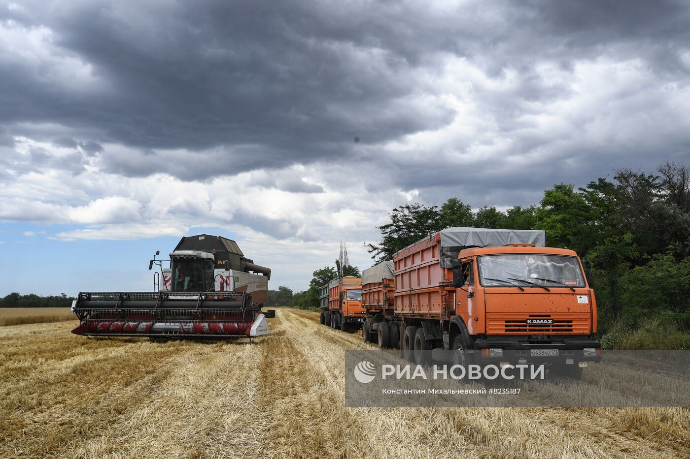 Уборка урожая пшеницы в Крыму