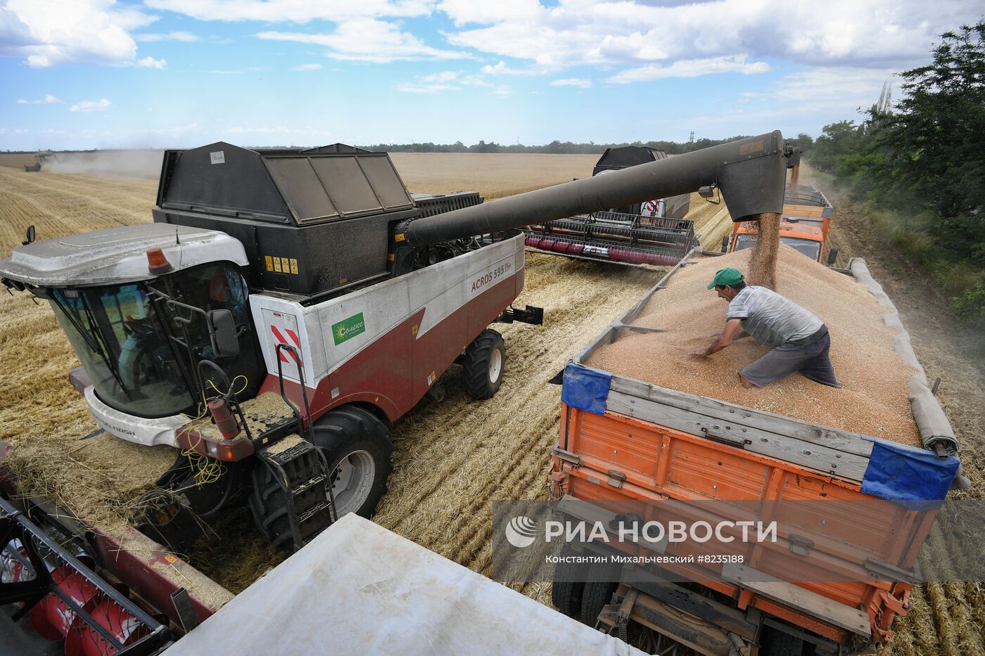 Уборка урожая пшеницы в Крыму