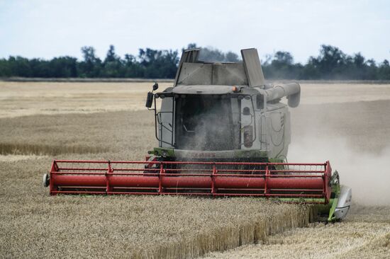 Уборка урожая пшеницы в Крыму