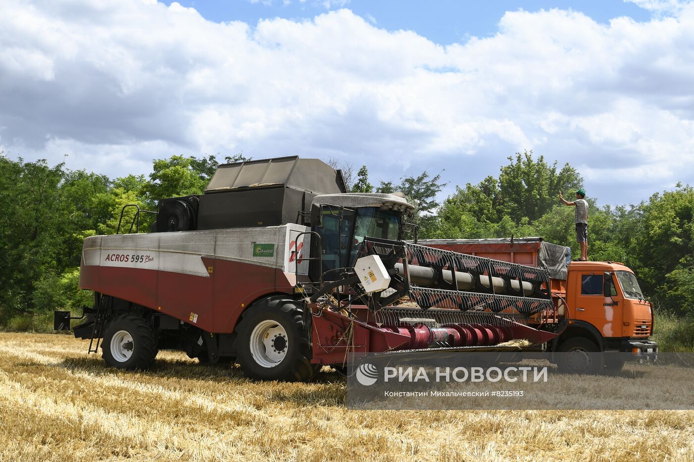 Уборка урожая пшеницы в Крыму