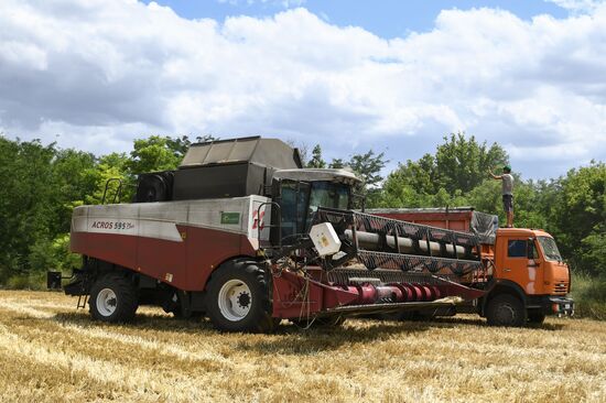 Уборка урожая пшеницы в Крыму