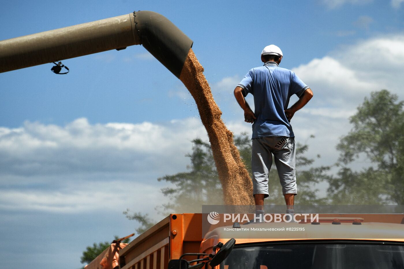 Уборка урожая пшеницы в Крыму