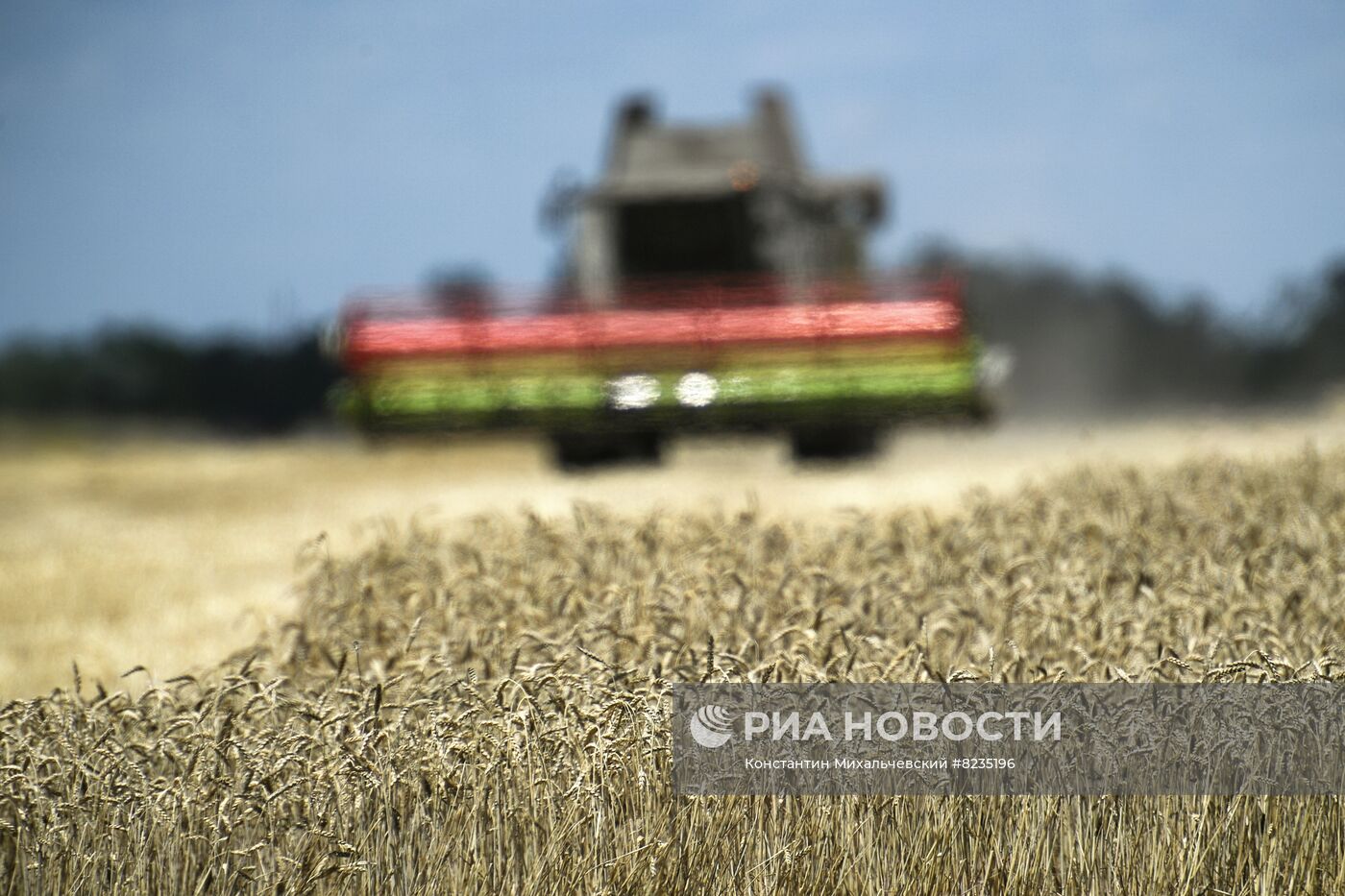 Уборка урожая пшеницы в Крыму