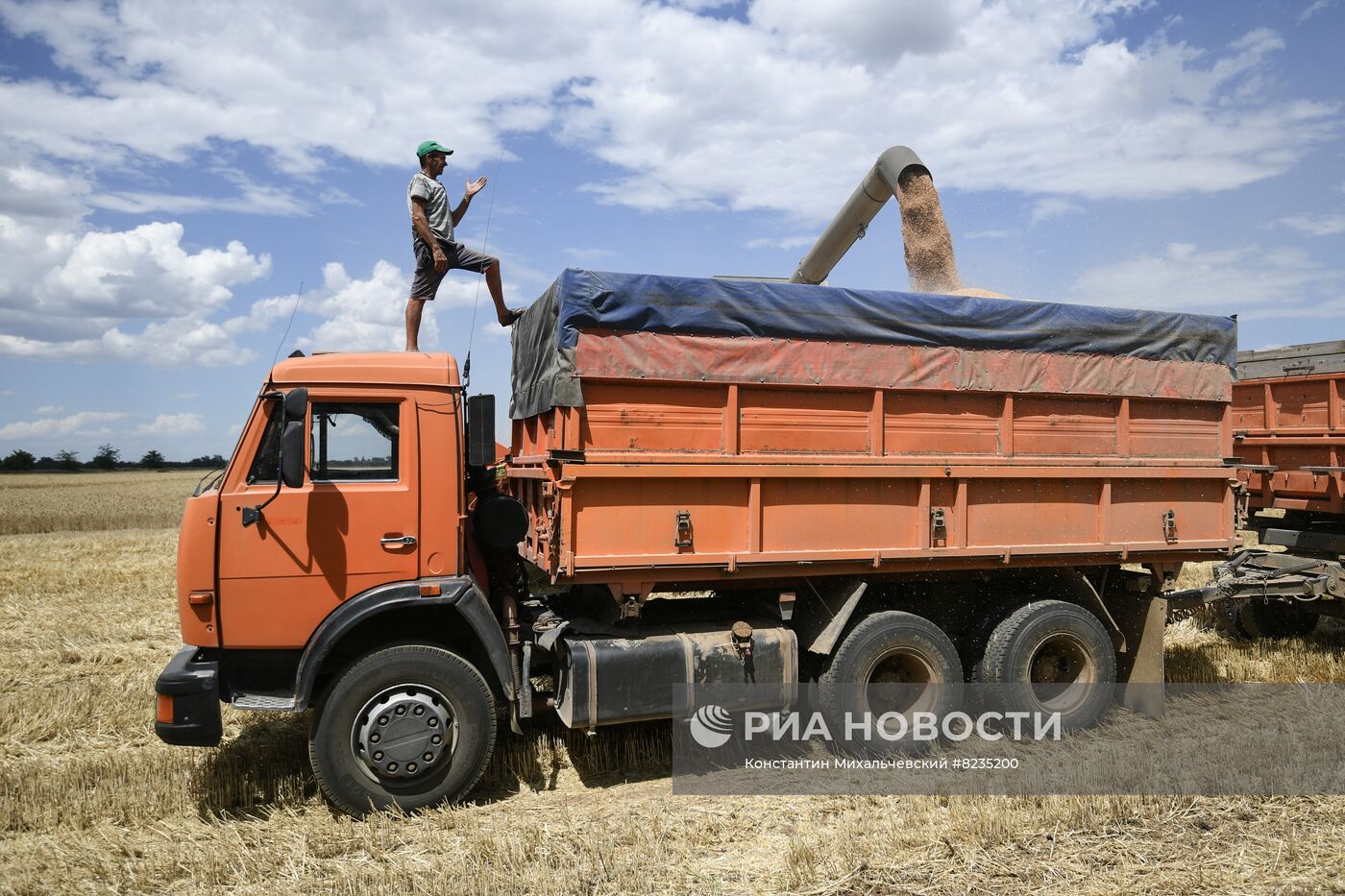 Уборка урожая пшеницы в Крыму