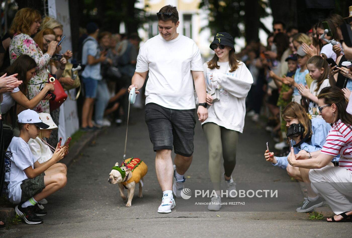 Парад французских бульдогов в Москве