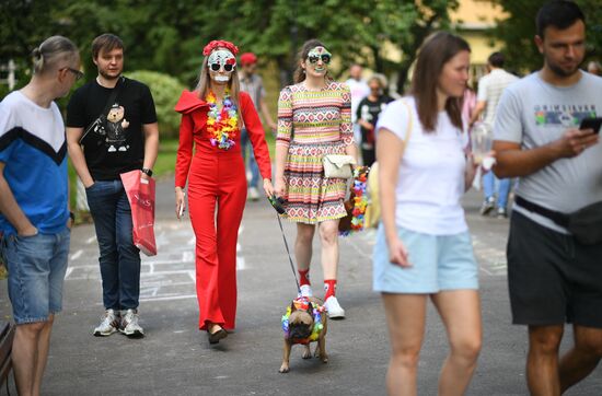 Парад французских бульдогов в Москве