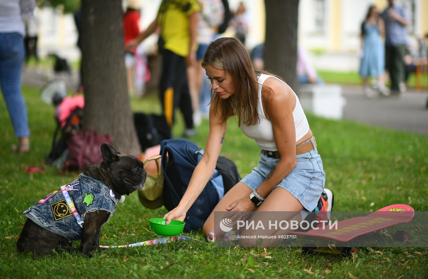 Парад французских бульдогов в Москве