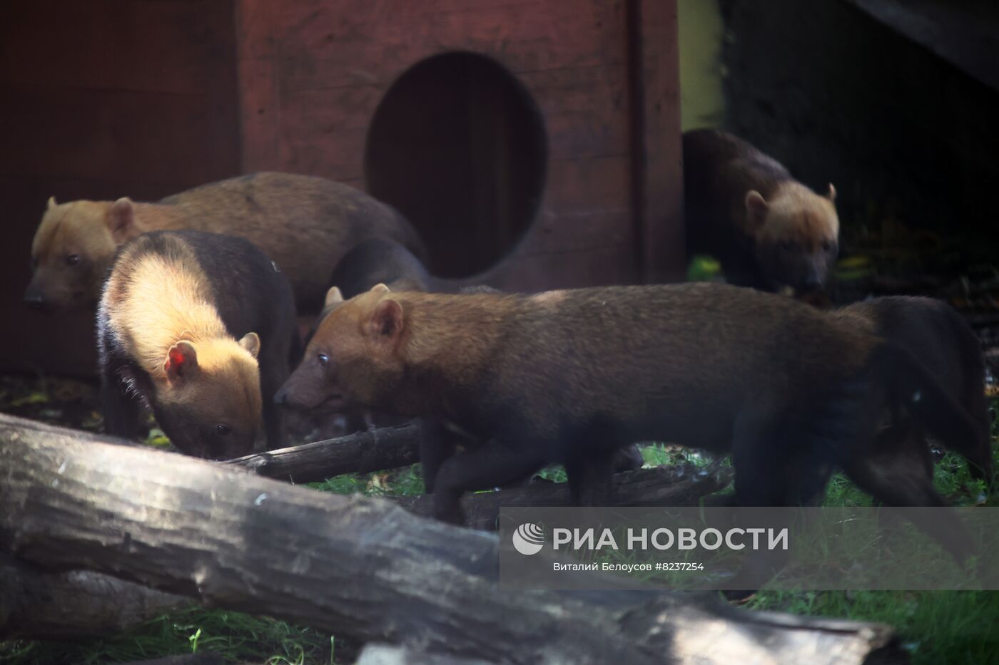 Московский зоопарк