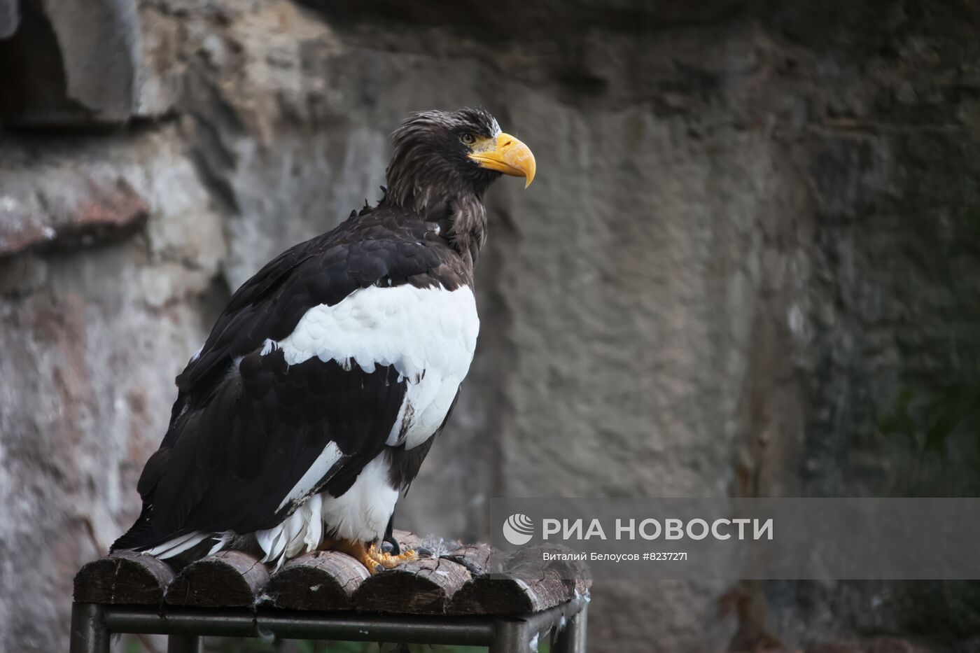 Московский зоопарк