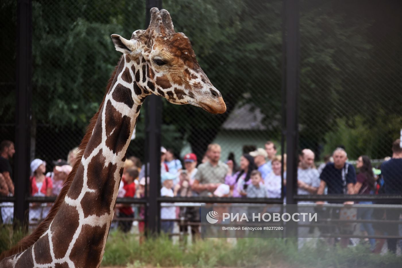 Московский зоопарк