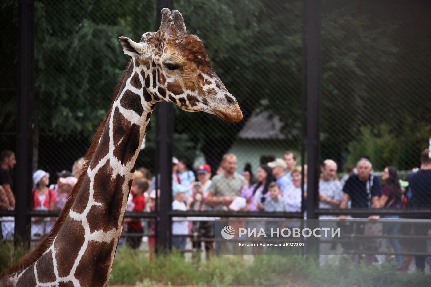 Московский зоопарк