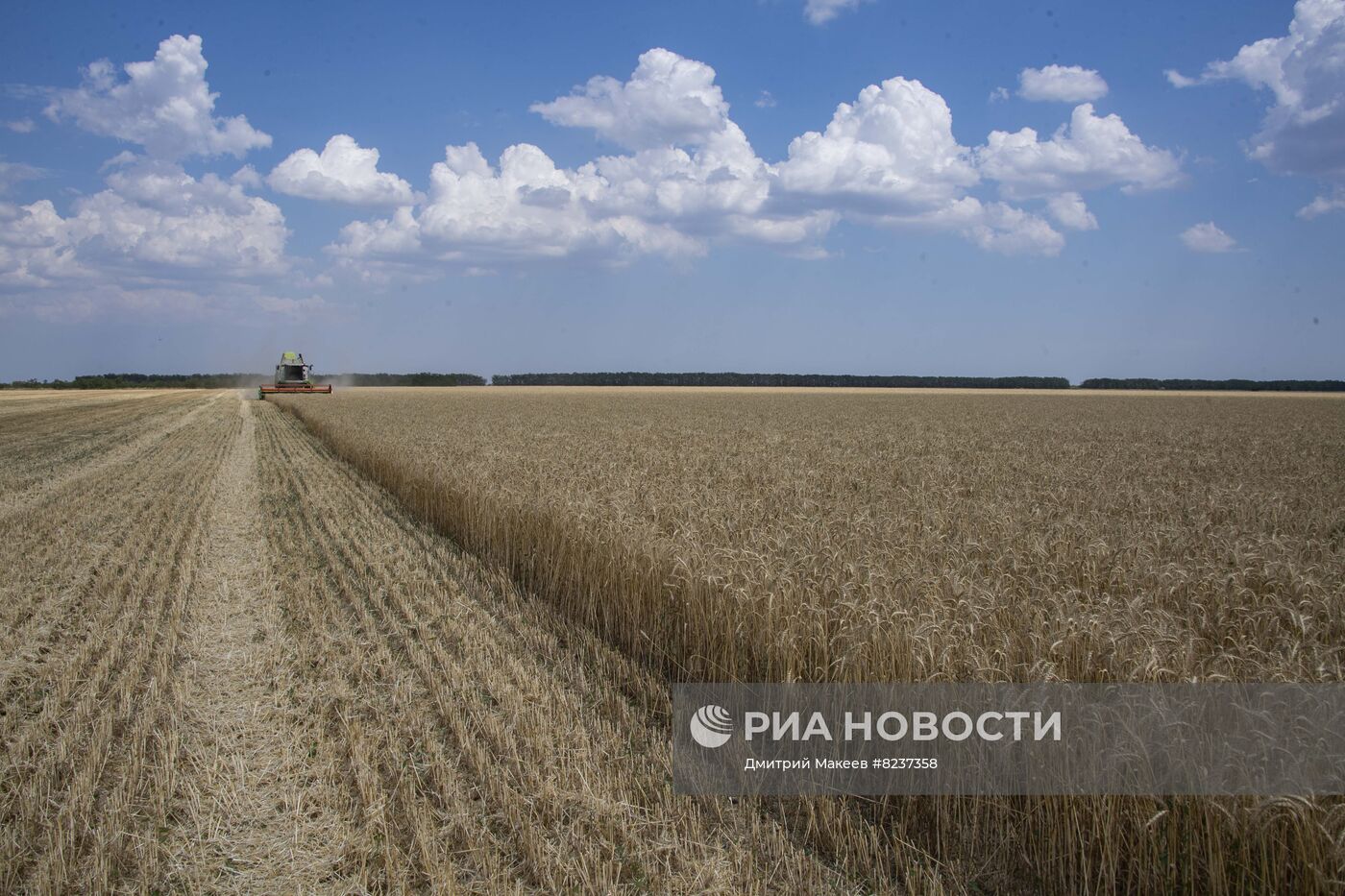 Уборка зерновых на освобожденных территориях Запорожской области