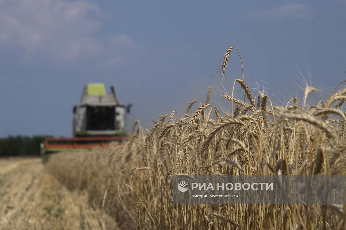 Уборка зерновых на освобожденных территориях Запорожской области