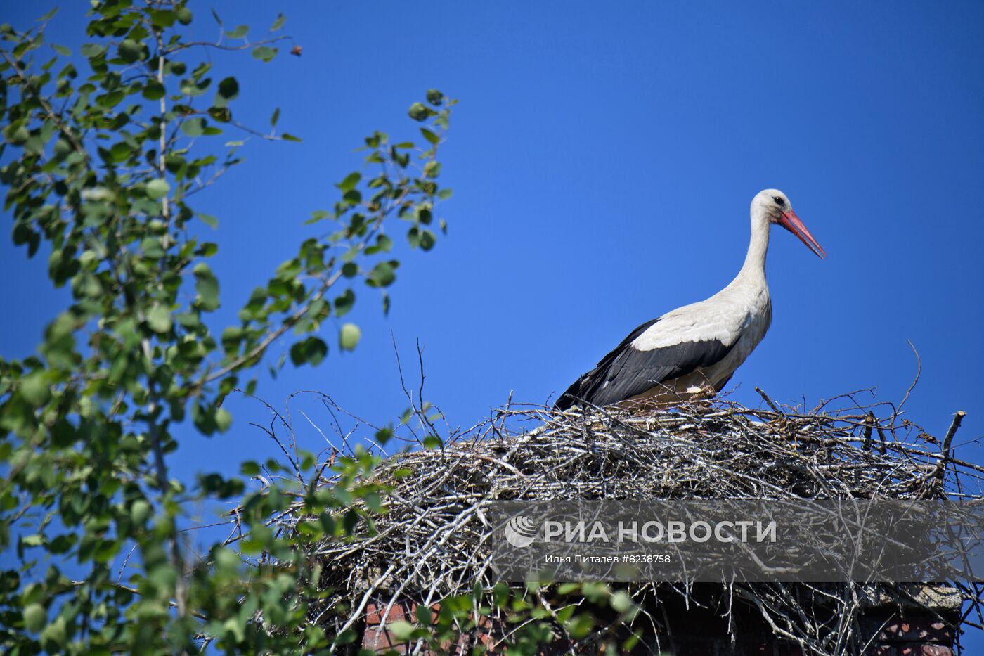 #ОткрываяРоссию. Калининград и Калининградская область