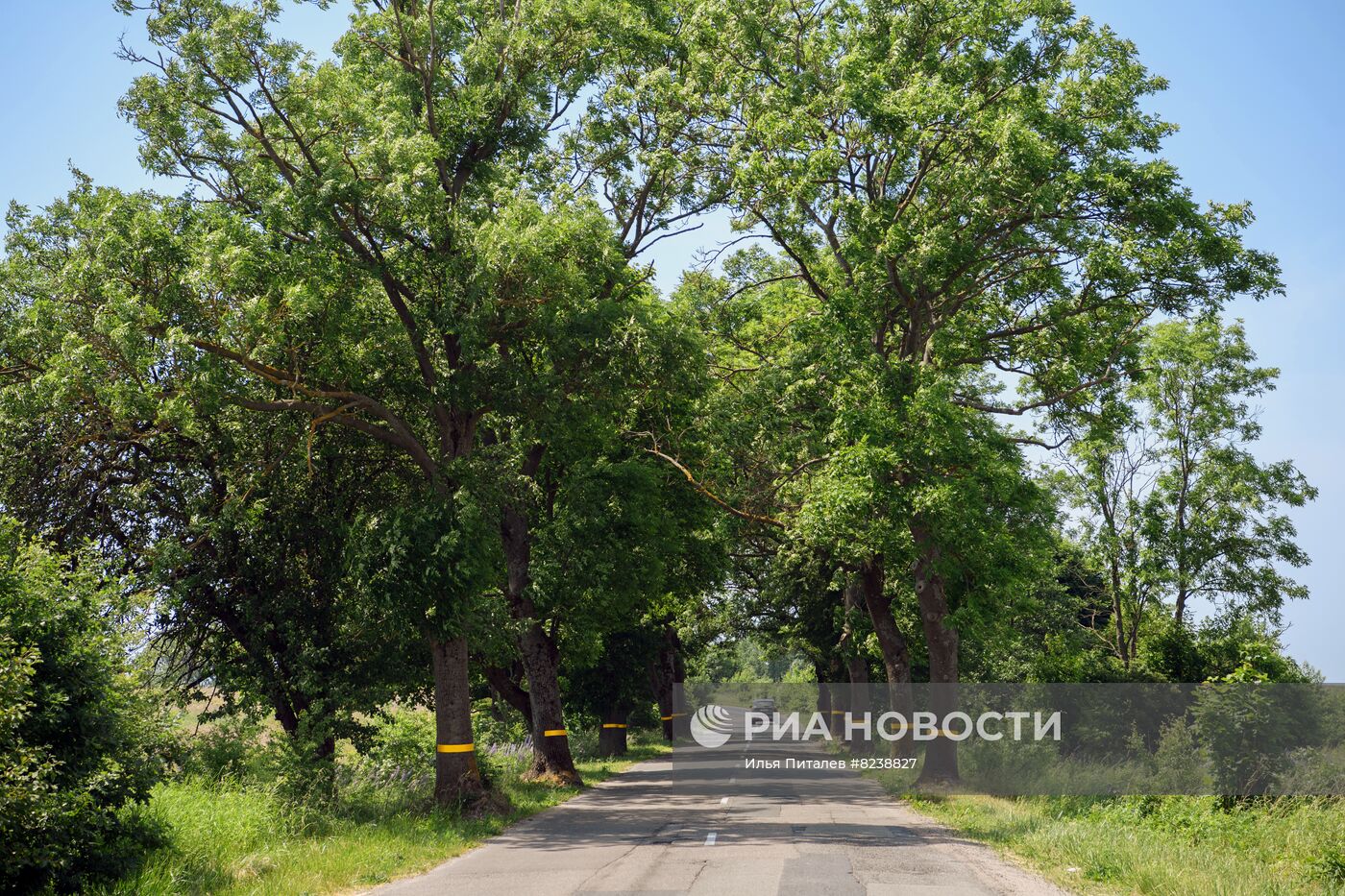 #ОткрываяРоссию. Калининград и Калининградская область