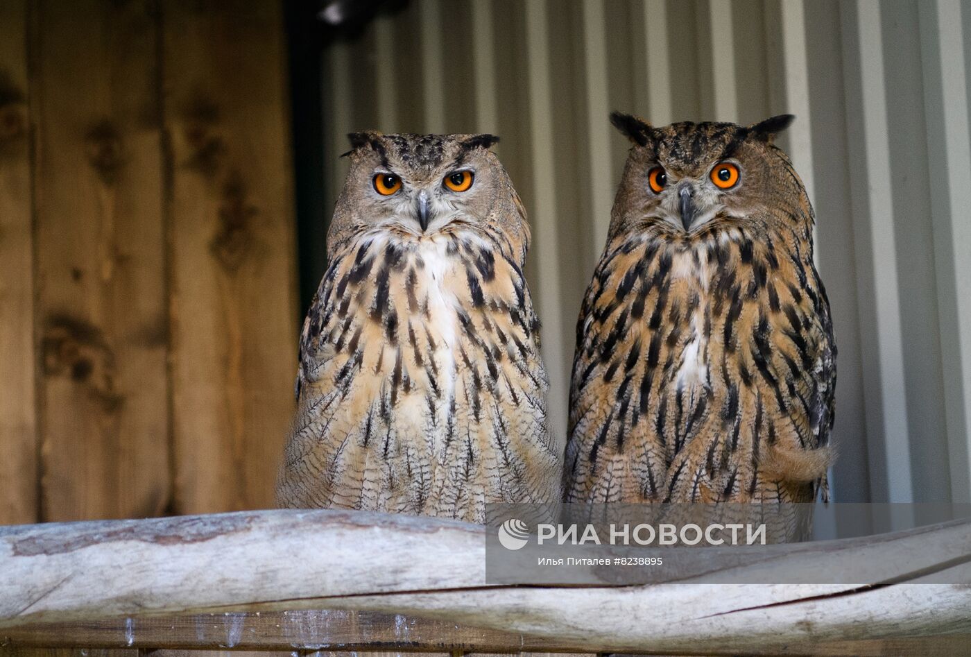 #ОткрываяРоссию. Калининград и Калининградская область