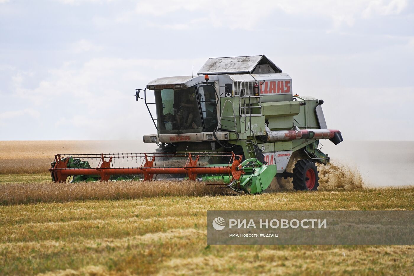 Уборка урожая пшеницы в Никольском