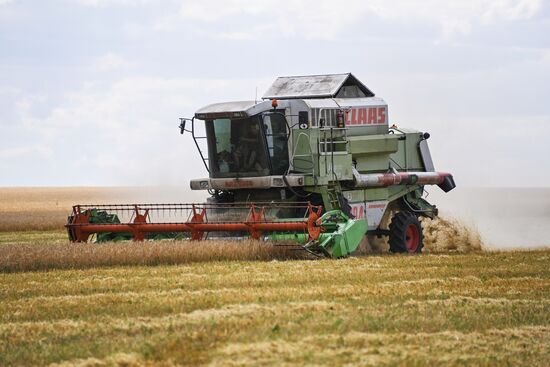 Уборка урожая пшеницы в Никольском