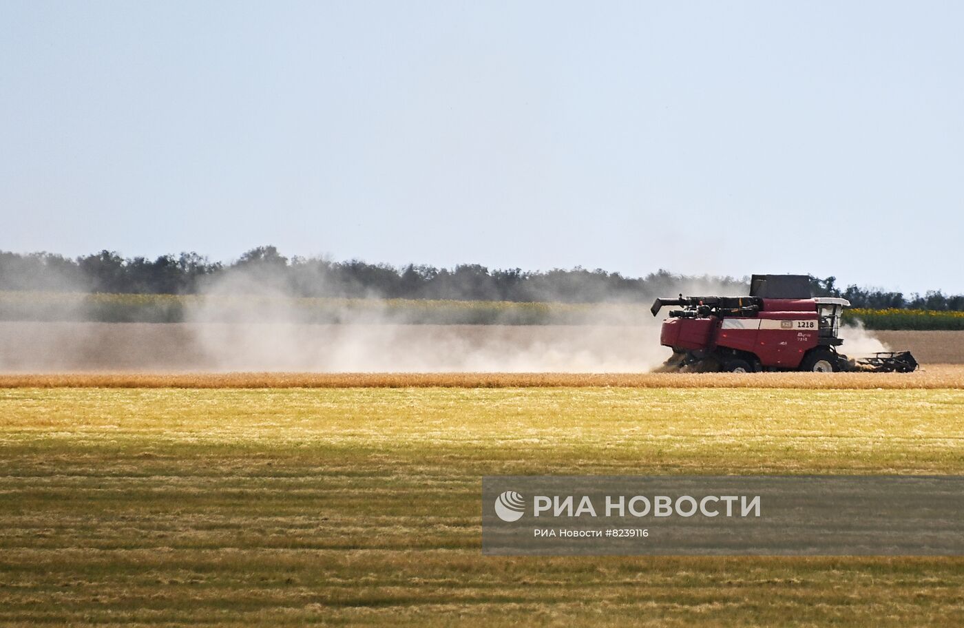Уборка урожая пшеницы в Никольском