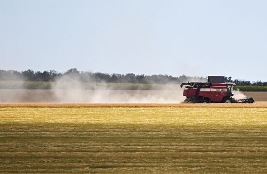 Уборка урожая пшеницы в Никольском