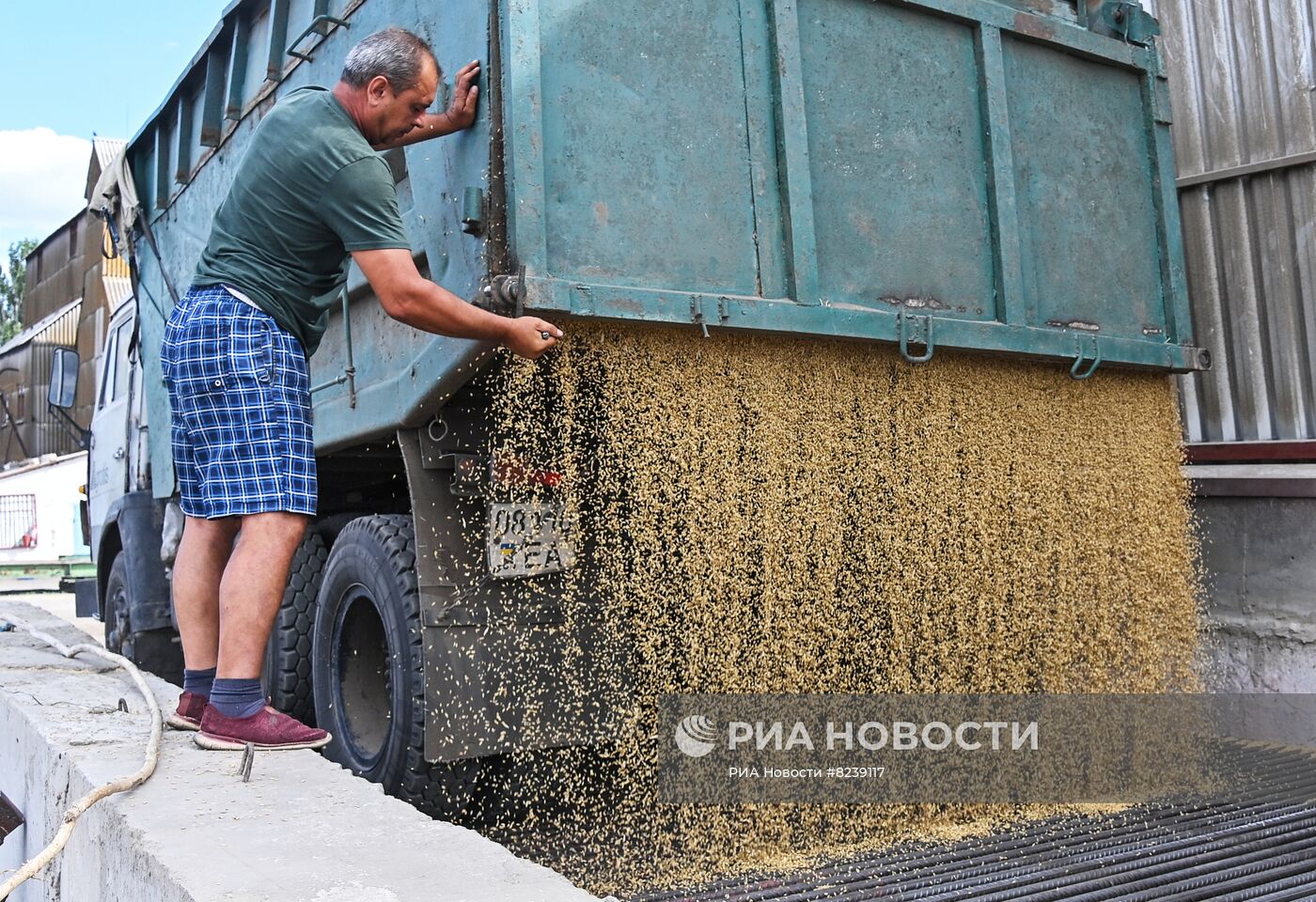 Уборка урожая пшеницы в Никольском
