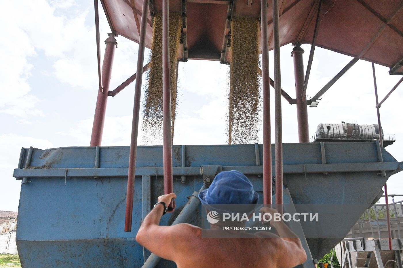 Уборка урожая пшеницы в Никольском