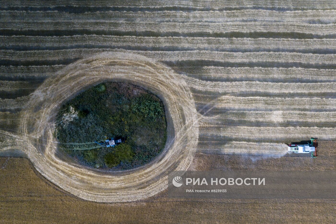 Уборка урожая пшеницы в Никольском