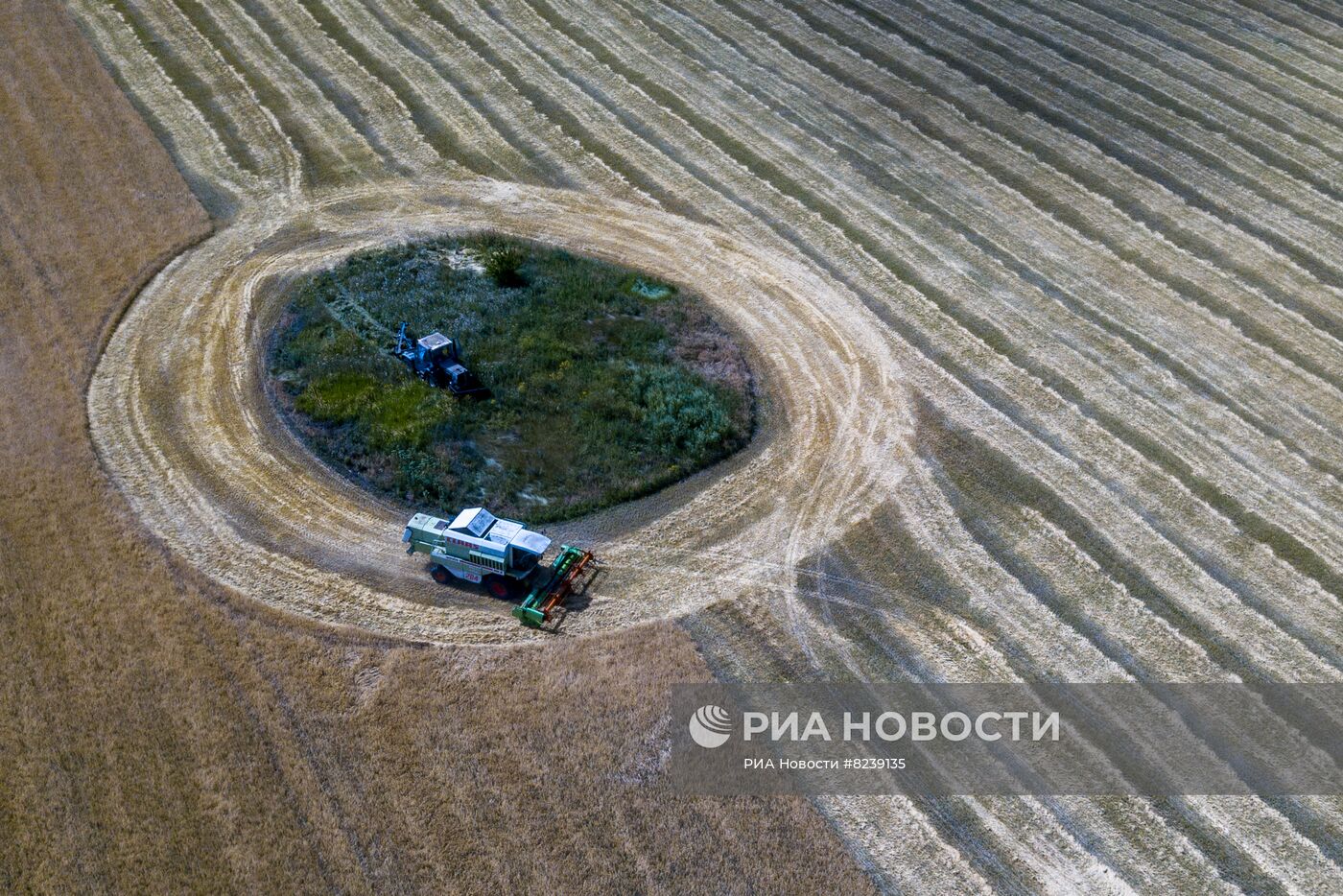 Уборка урожая пшеницы в Никольском