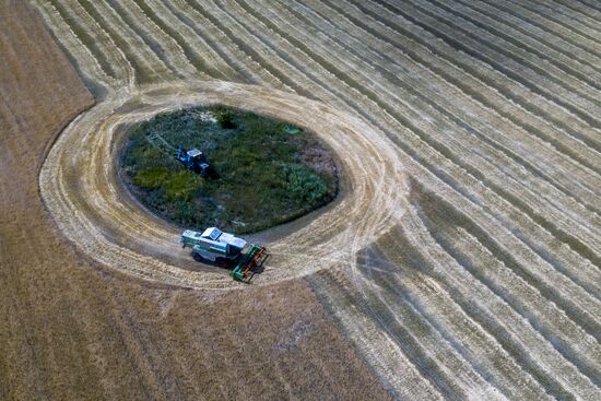 Уборка урожая пшеницы в Никольском