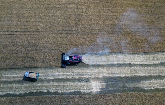 Уборка урожая пшеницы в Никольском