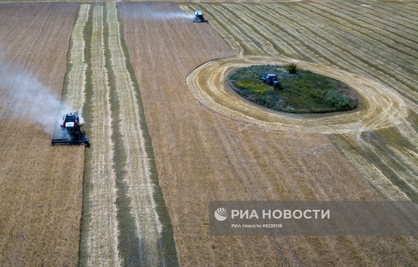 Уборка урожая пшеницы в Никольском