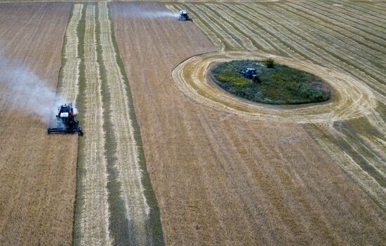 Уборка урожая пшеницы в Никольском