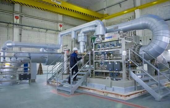 Центрально-европейский газовый хаб в Баумгартен
