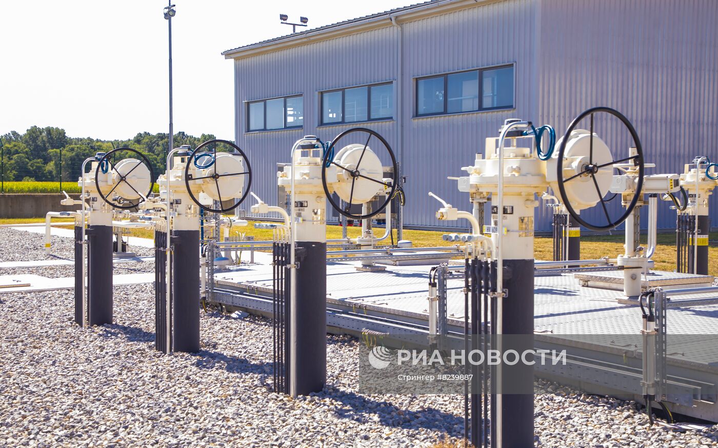 Центрально-европейский газовый хаб в Баумгартен
