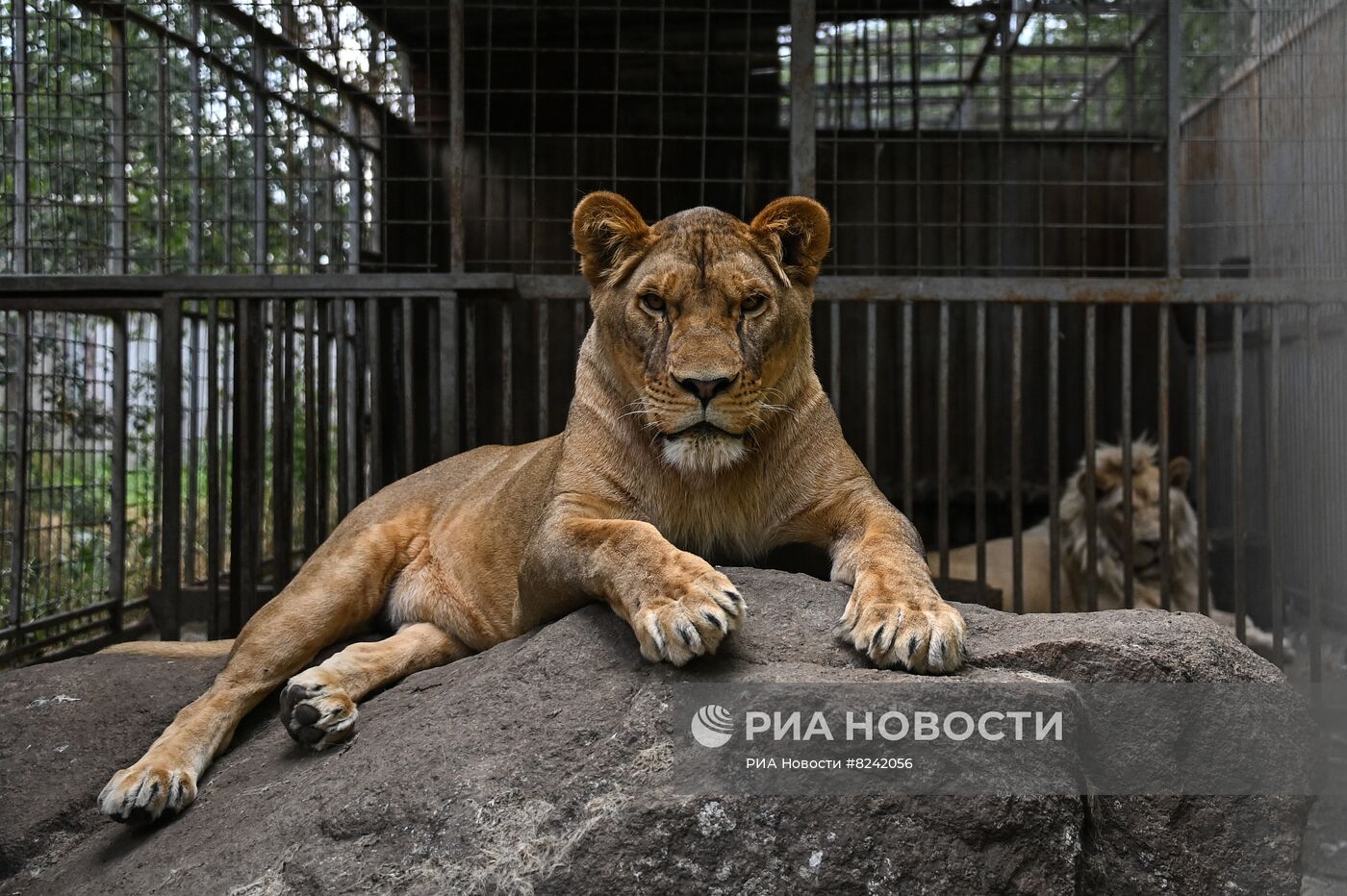 Мариупольский зоопарк