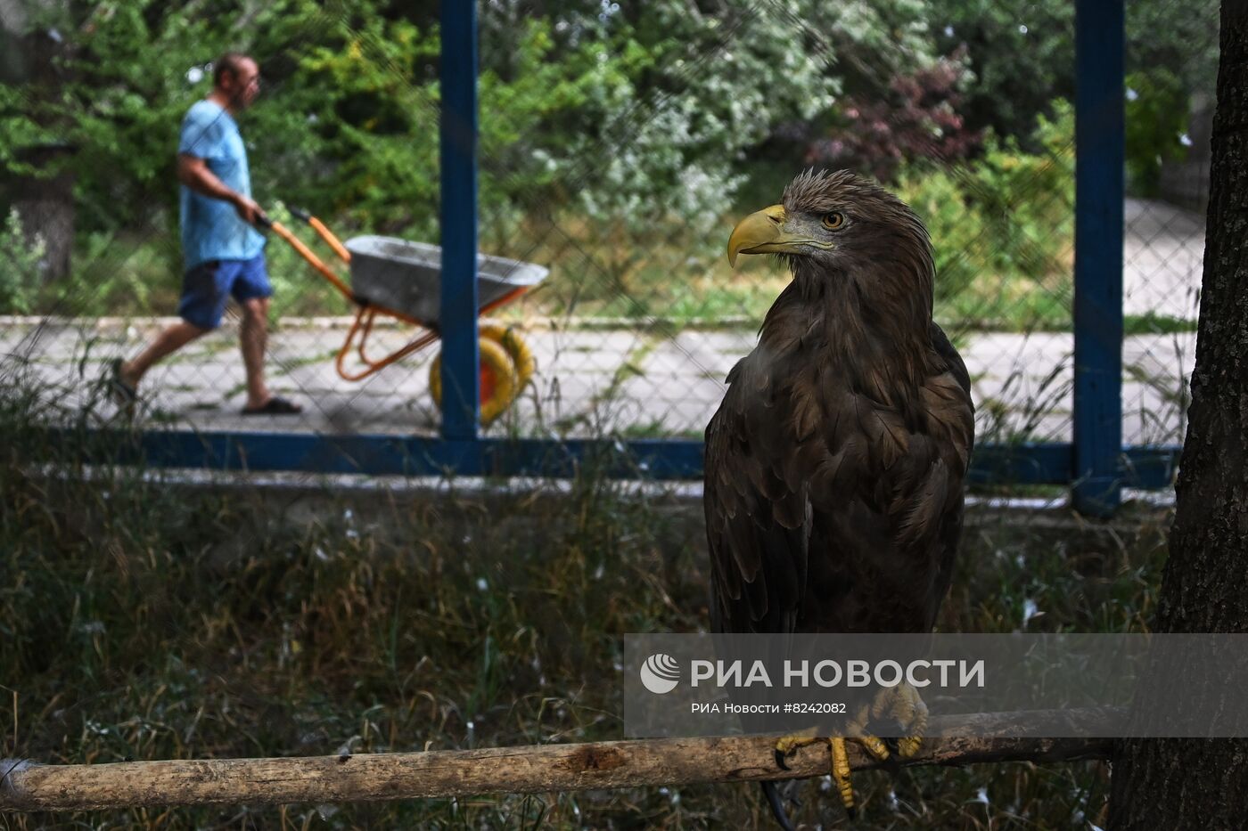 Мариупольский зоопарк