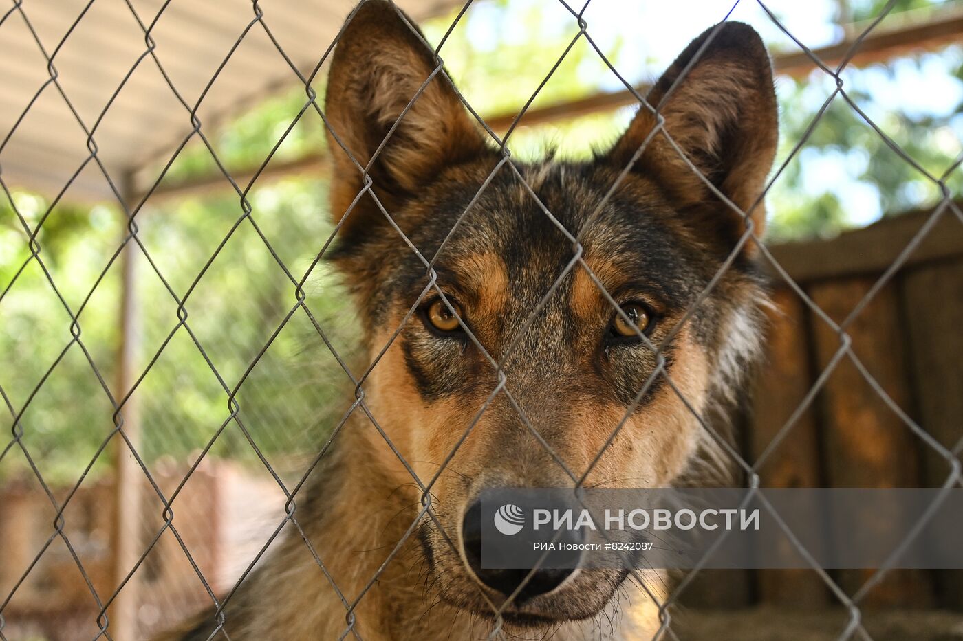 Мариупольский зоопарк