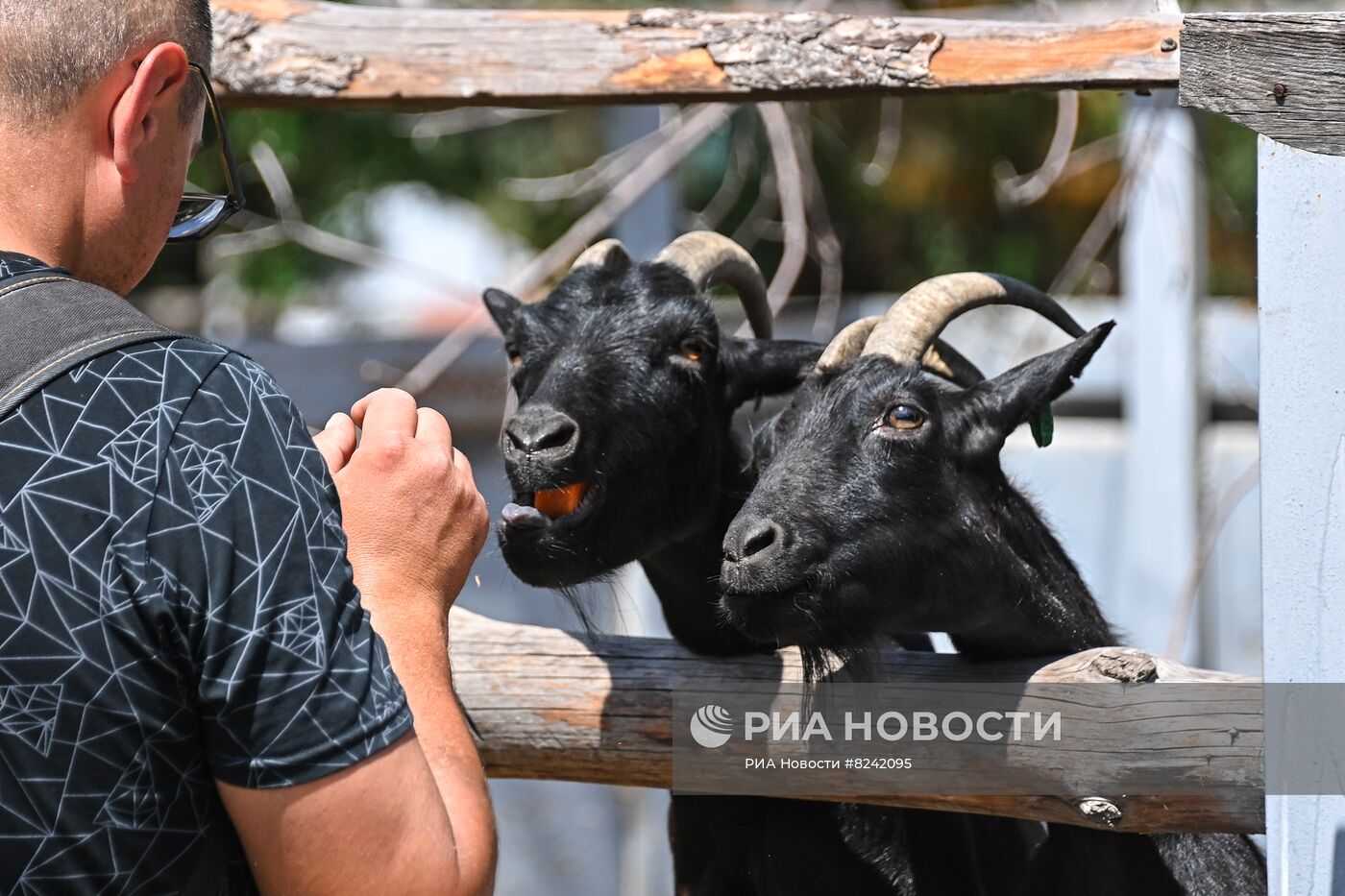 Мариупольский зоопарк