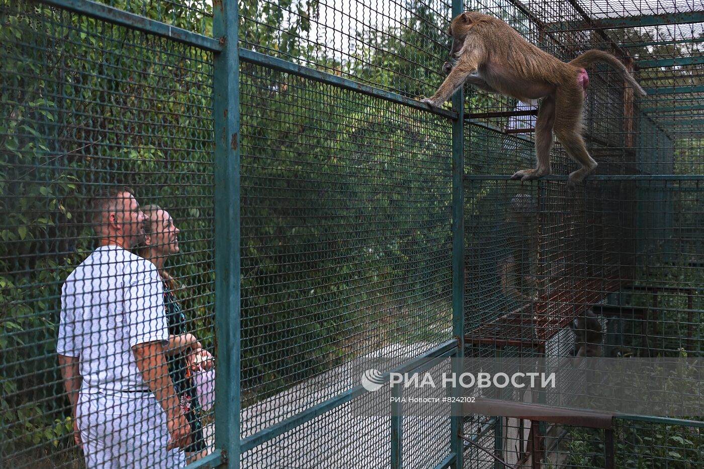 Мариупольский зоопарк