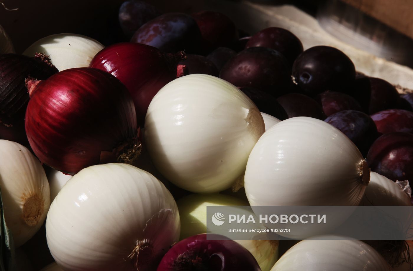 Работа "Рынка на Ленинском"