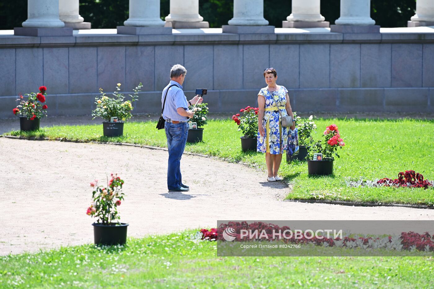 Фестиваль роз в музее-усадьбе "Архангельское"