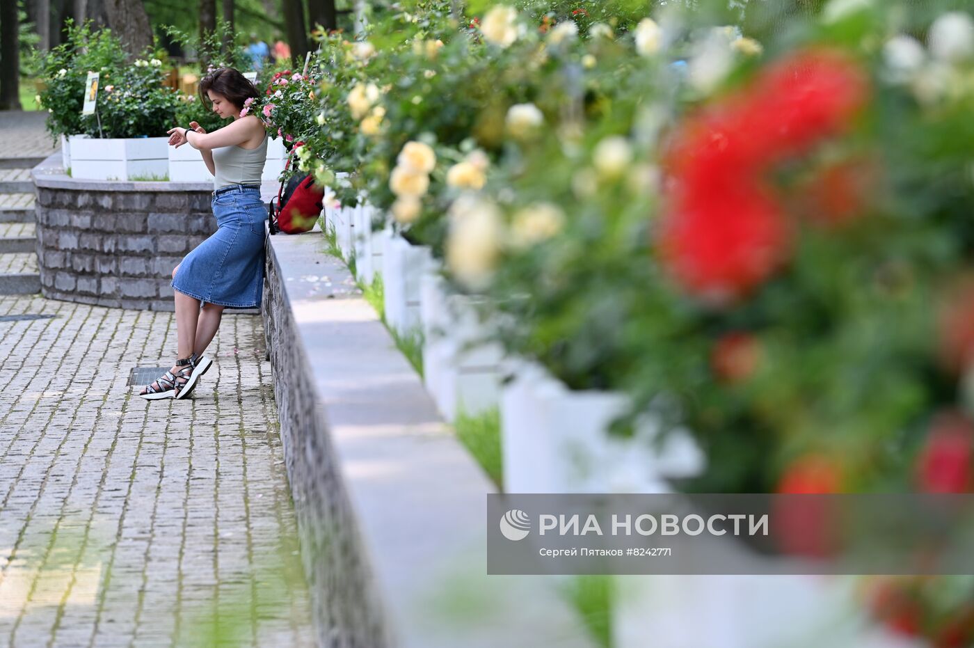 Фестиваль роз в музее-усадьбе "Архангельское"