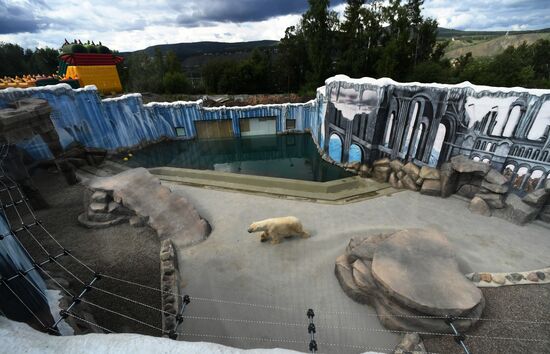 Новый комплекс для белых медведей в парке "Роев ручей"