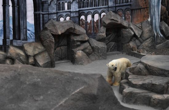 Новый комплекс для белых медведей в парке "Роев ручей"