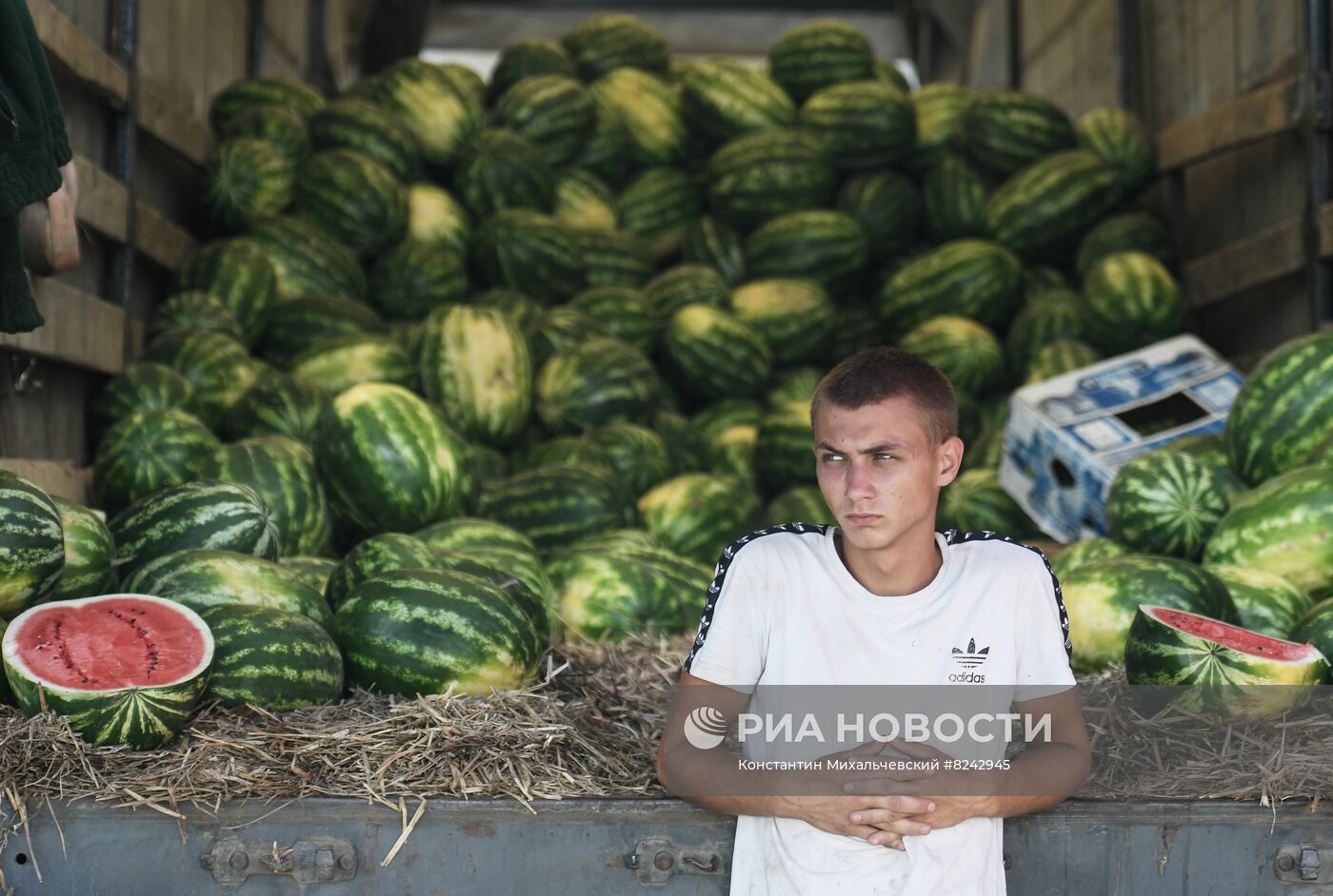 Продажа арбузов в Крыму