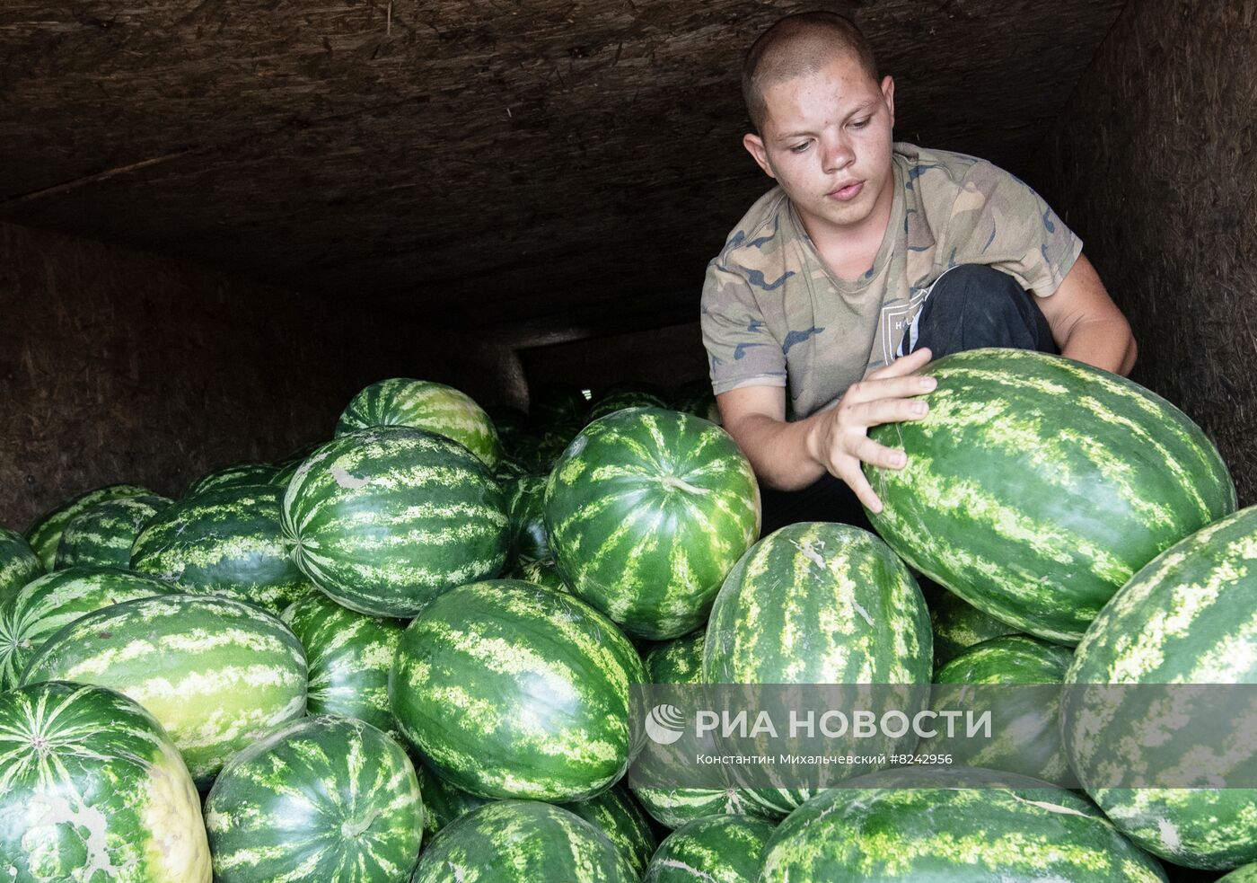 Продажа арбузов в Крыму