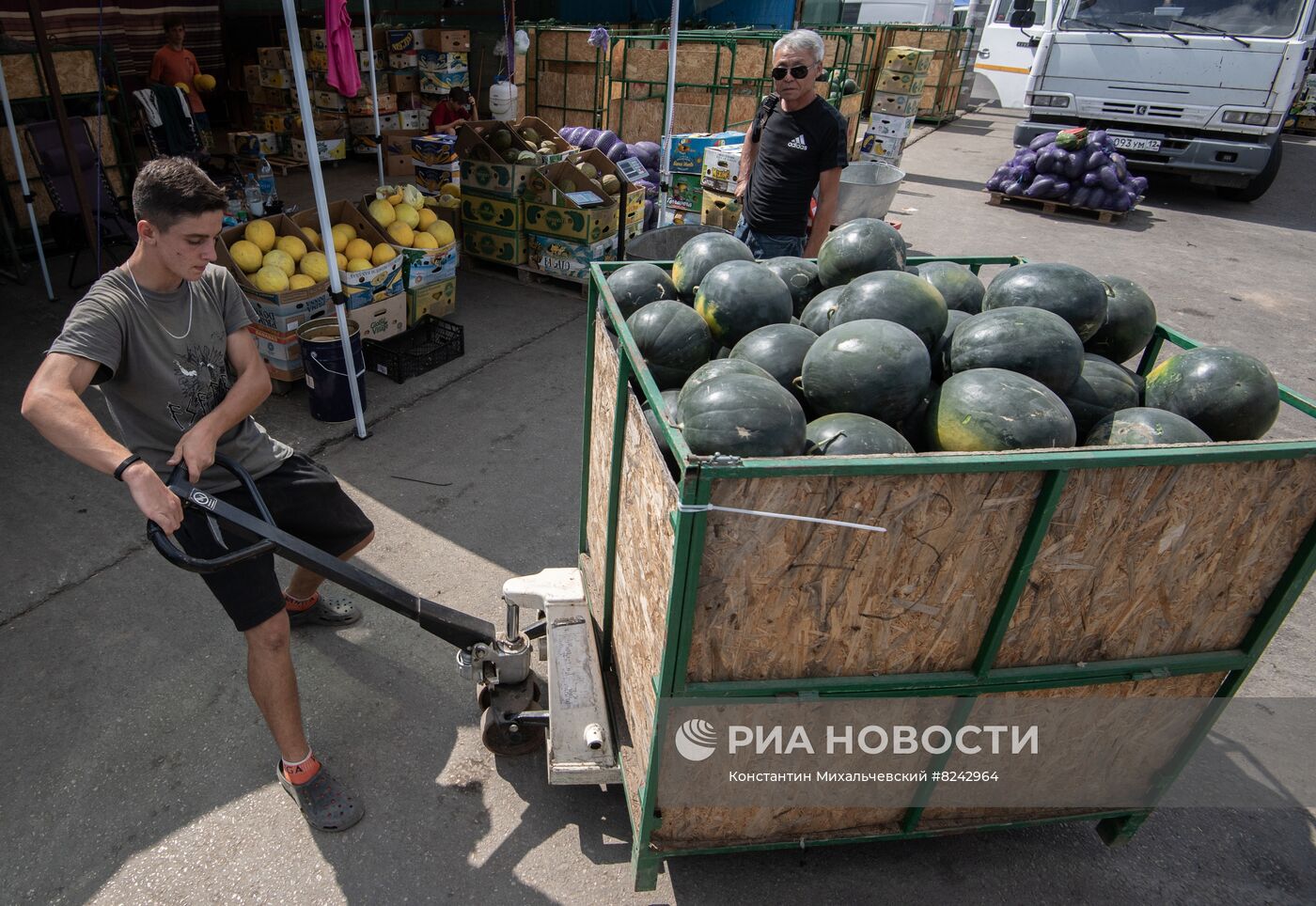 Продажа арбузов в Крыму