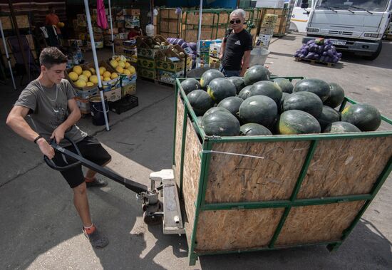 Продажа арбузов в Крыму