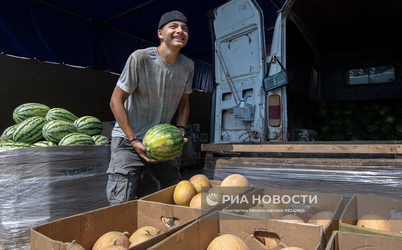 Продажа арбузов в Крыму